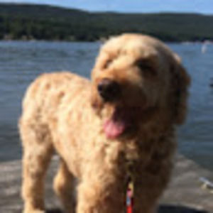 Meet your Posher, Patricia